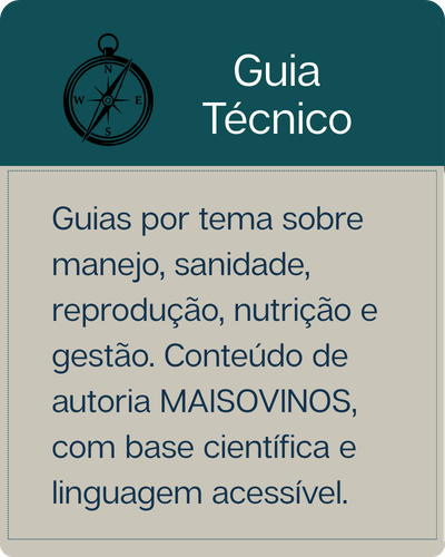 Guia Técnico