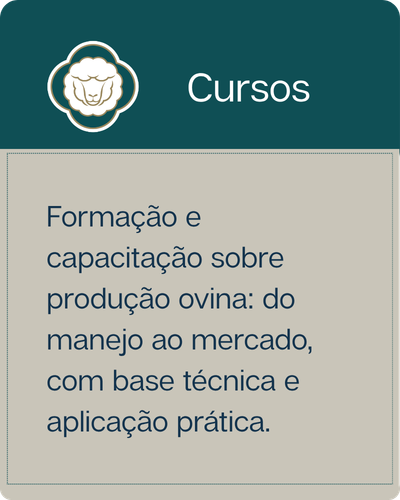 Cursos