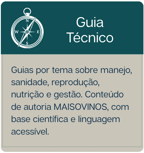 Guia Técnico