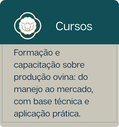 Cursos